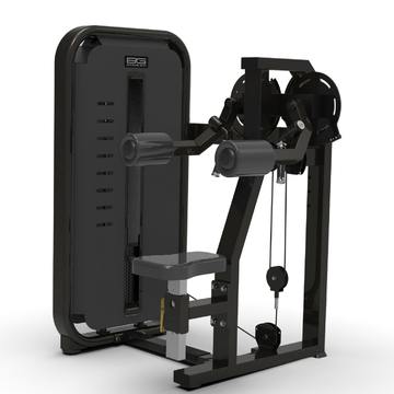 BRONZE GYM MIGHT 05