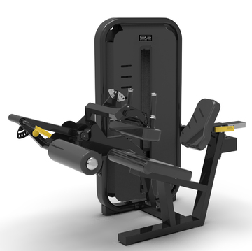 BRONZE GYM MIGHT 18