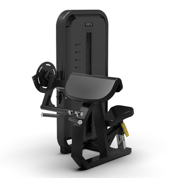 BRONZE GYM MIGHT 22