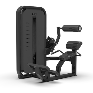 BRONZE GYM MIGHT 23