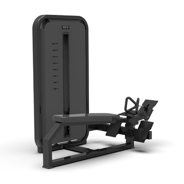 BRONZE GYM MIGHT 24