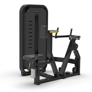 BRONZE GYM MIGHT 25