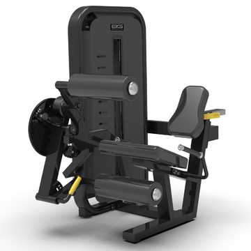 BRONZE GYM MIGHT 54