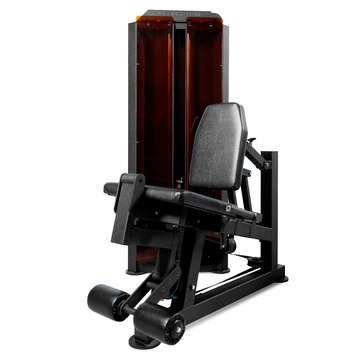 BRONZE GYM PARTNER ML-801