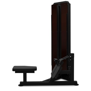 BRONZE GYM PARTNER ML-808