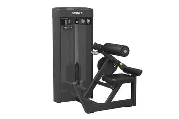 Разгибание спины Spirit SP-4310