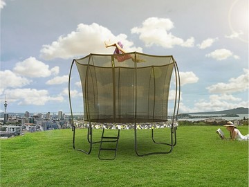 Батут Hasttings Superfly X 10ft