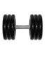 Гантель Barbell 31 кг профи