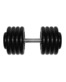 Гантель Barbell 43,5 кг профи
