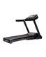 Беговая дорожка CardioPower S55