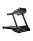 Беговая дорожка CardioPower S55