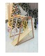 ДСК PERFETTO KIDS "Uccellino" цвет Zefiro PS-210