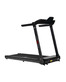 Беговая дорожка CardioPower TT30