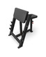 BRONZE GYM PARTNER AL-303