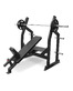 BRONZE GYM PARTNER AL-305