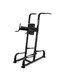 BRONZE GYM BR-1017 Турник/брусья/пресс