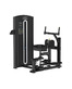 BRONZE GYM M05-011 Торс-машина