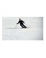 Easy SKI Лыжи и приспособление