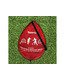 DFC Foldable Soccer GOAL5219A