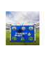 Ворота игровые DFC 3 в 1 / 183 см GOAL7339A