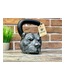 Гиря Iron Head Питбуль 16 кг