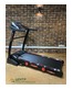 Беговая дорожка CardioPower T30