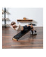 OXYGEN FITNESS MORAN