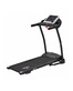 Беговая дорожка электрическая ROYAL Fitness RF-7
