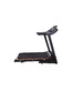Беговая дорожка электрическая ROYAL Fitness, арт. RF-6