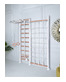 ДСК PERFETTO SPORT "Scala in legno con rete" bianco-naturale PS-125