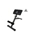 Гиперэкстензия DFC Homegym SJ1006