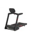 Беговая дорожка CardioPower T60