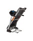 Беговая дорожка SPARKY Pro T635