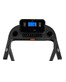 Titanium Masters Physiotech M380