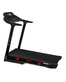 Titanium Masters Physiotech M380